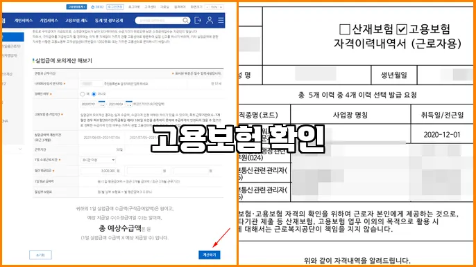 고용보험 확인