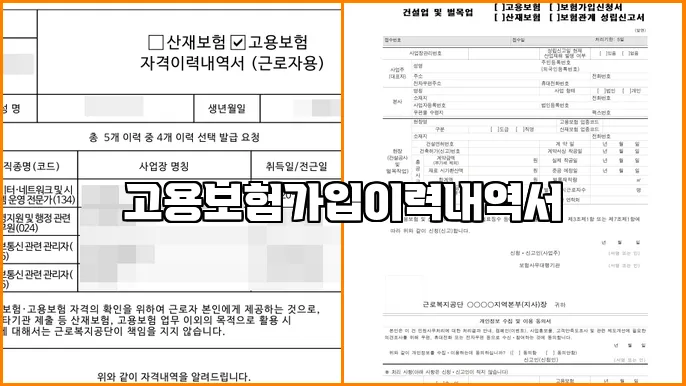 고용보험가입이력내역서