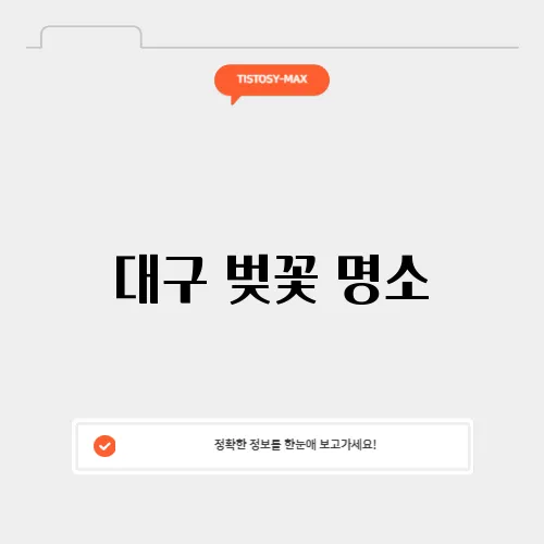 대구 벚꽃 명소