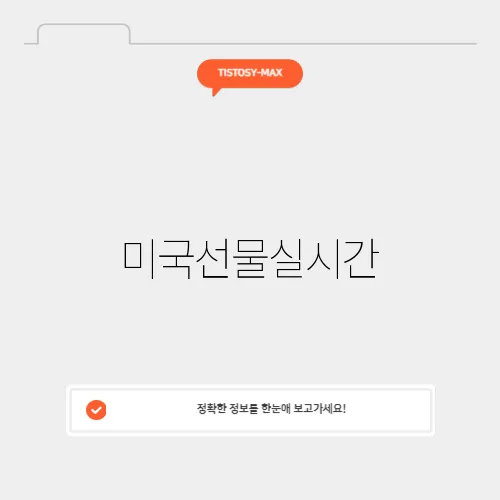 미국선물실시간