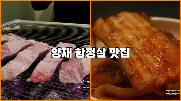 양재 항정살 맛집