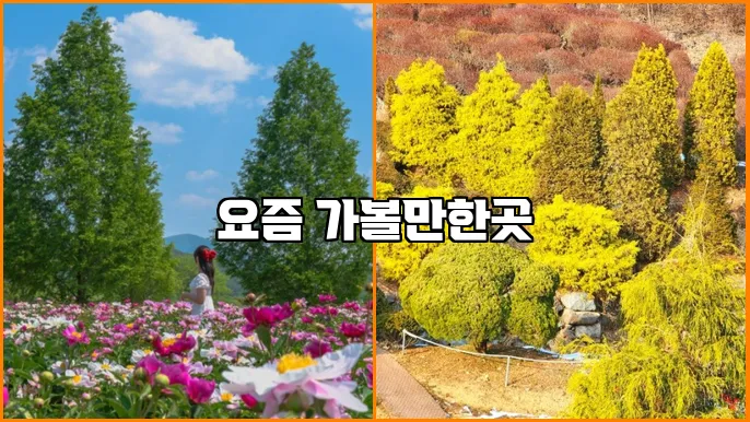 요즘 가볼만한곳