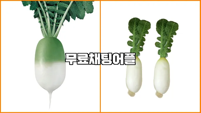 무료채팅어플
