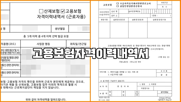 고용보험자격이력내역서