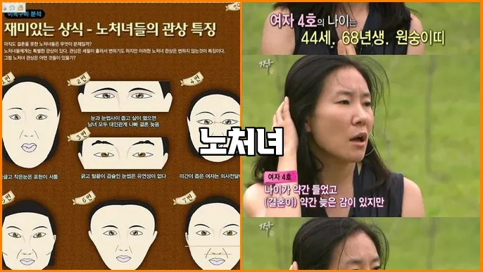 노처녀