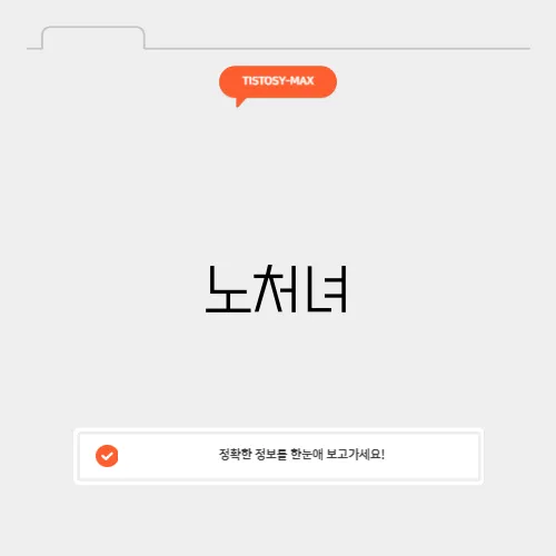 노처녀