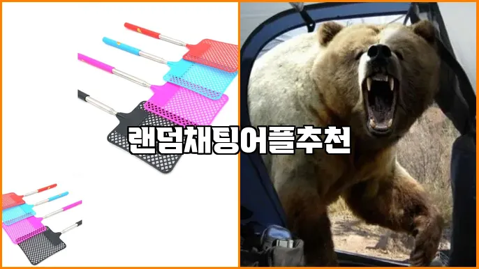 랜덤채팅어플추천