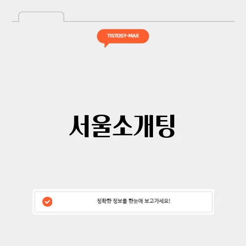 서울소개팅