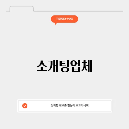 소개팅업체