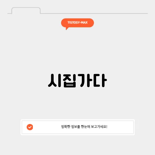 시집가다