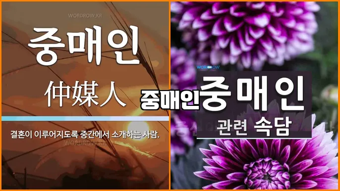 중매인