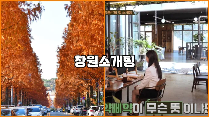 창원소개팅