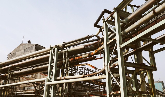 사다리타기 네이버 관련 이미지 1