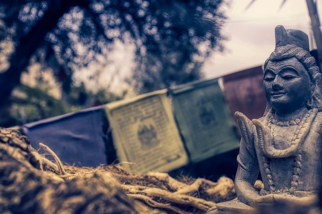 아이폰17 진동 관련 이미지 1