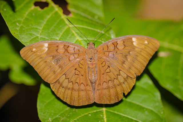 세전 세후 계산 관련 이미지 3