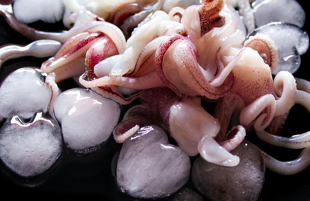 오징어게임 시즌4 완벽 정리하기! 관련 이미지 1