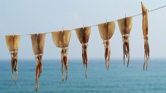 오징어게임 시즌4 완벽 정리하기! 관련 이미지 3