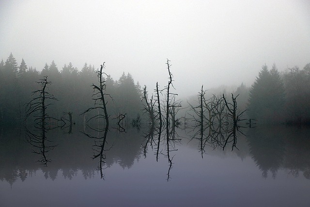 복면가왕, 영혼을 울리는 피아노의 매력 알아보기 관련 이미지 2