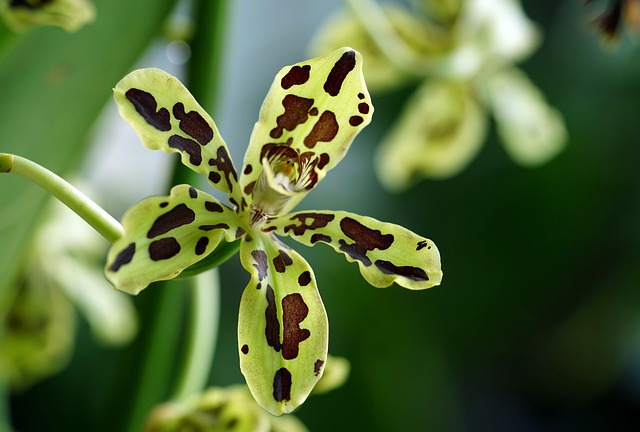 영문법 완벽 정리: 기초부터 심화까지 알아보기 관련 이미지 3