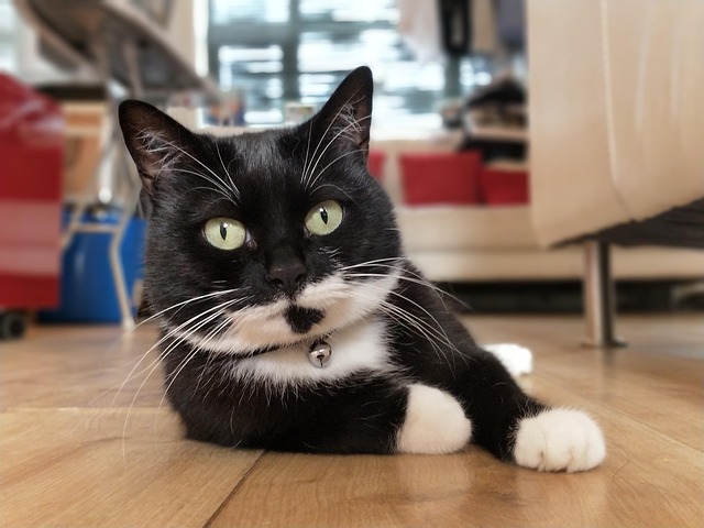 2025 수능 문제 완벽 정리 및 준비 방법 알아보기 관련 이미지 2