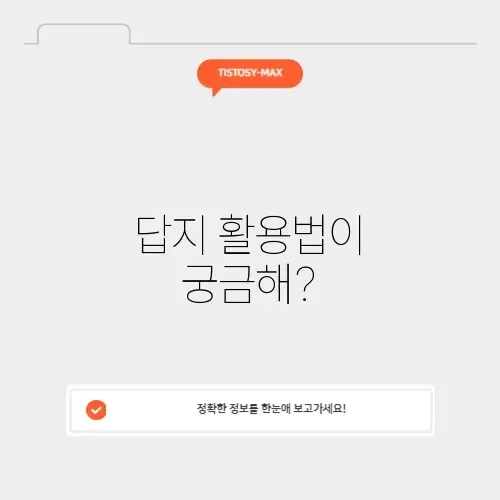 2026 6모 답지 완벽 정리 및 활용 방법 알아보기