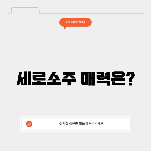 세로소주 완벽 정리: 매력적인 맛과 즐기는 방법 알아보기