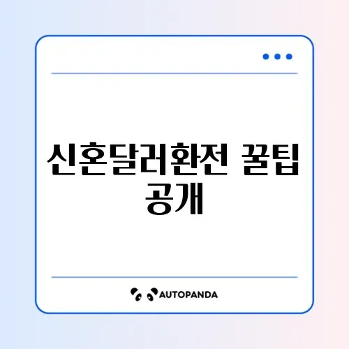 올해 신혼부부를 위한 달러환전 전략 완벽 정리 알아보기