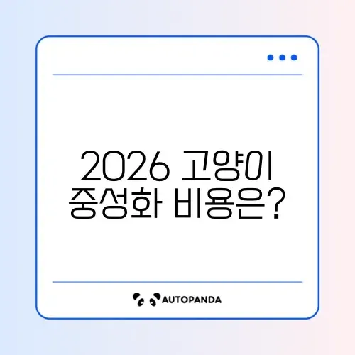 2026년 고양이 중성화 비용과 준비물 완벽 가이드