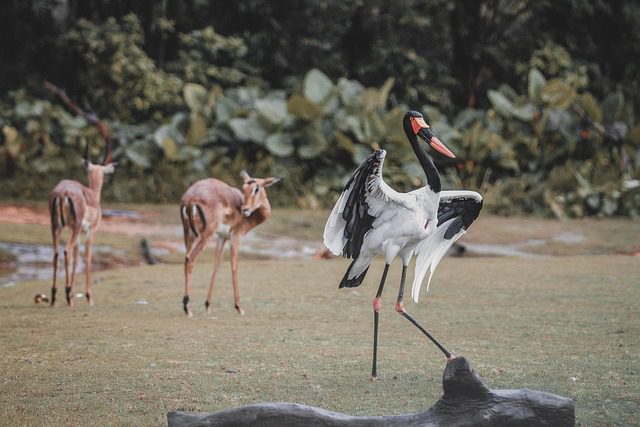 연말정산 수정신고 안 되는 이유와 해결 방법 알아보기 관련 이미지 3