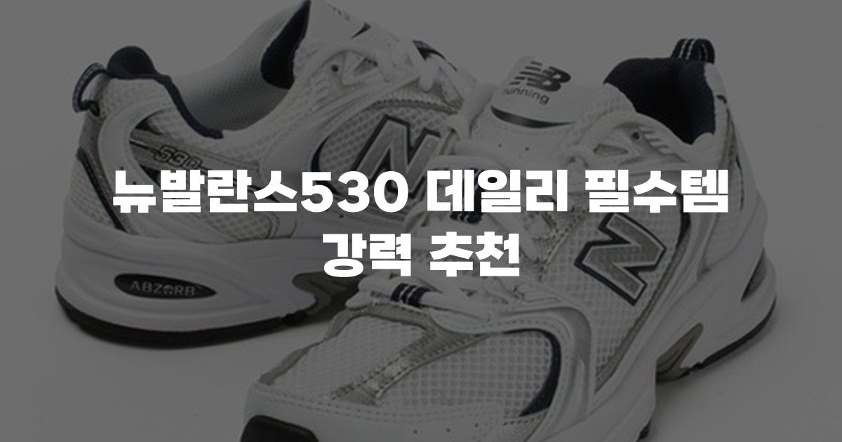 뉴발란스530 데일리 필수템 강력 추천