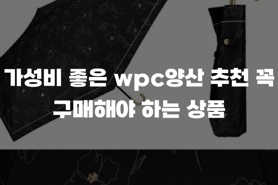 가성비 좋은 wpc양산 추천 꼭 구매해야 하는 상품