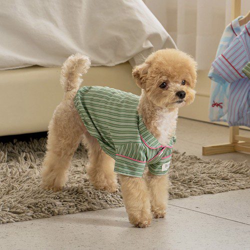 실크핏 웬즈데이 펫 잠옷 반려동물 강아지 고양이 파자마